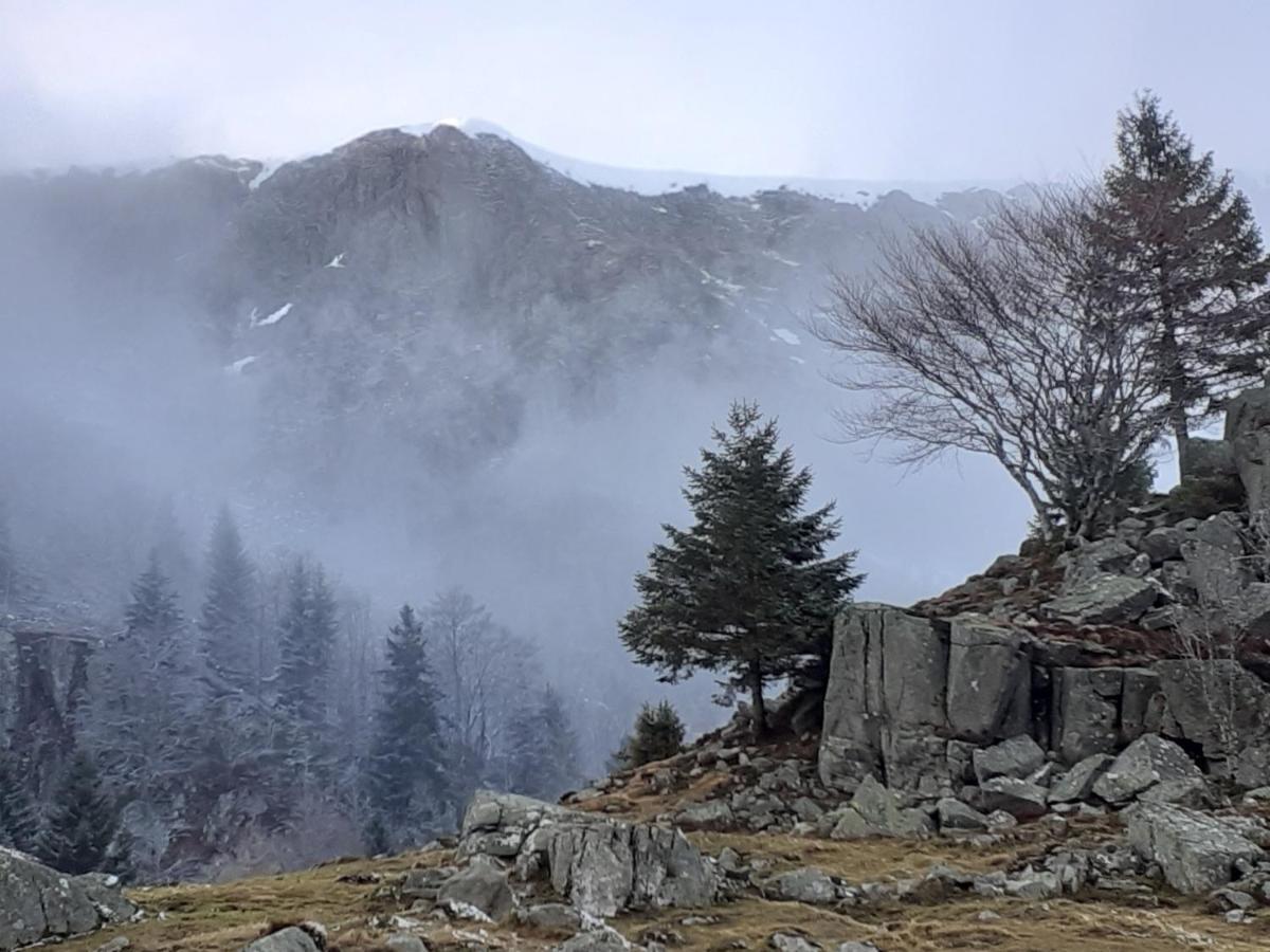 Munster Camping De La Fecht Экстерьер фото
